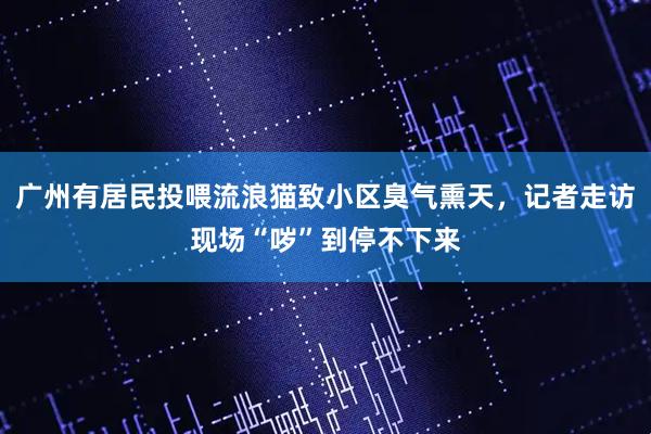 广州有居民投喂流浪猫致小区臭气熏天，记者走访现场“哕”到停不下来