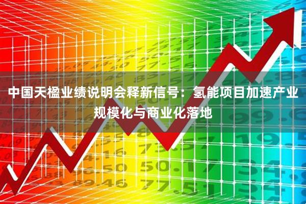 中国天楹业绩说明会释新信号:氢能项目加速产业规模化与商业化落地