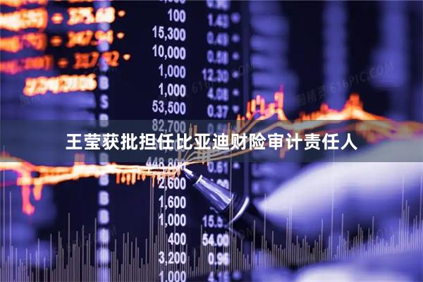 王莹获批担任比亚迪财险审计责任人