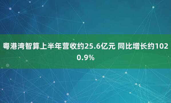 粤港湾智算上半年营收约25.6亿元 同比增长约1020.9%